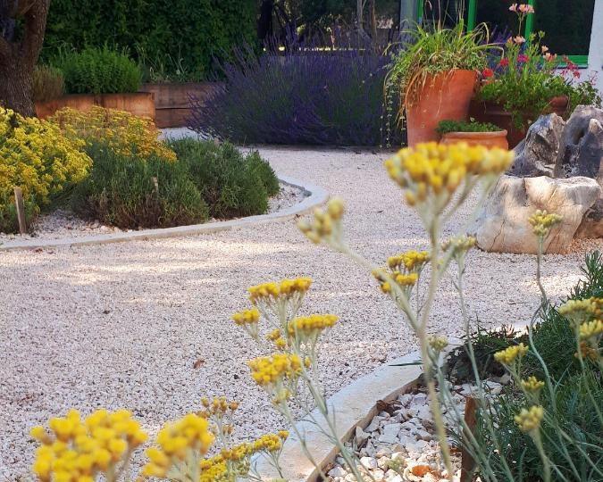 Garden beds in full bloom