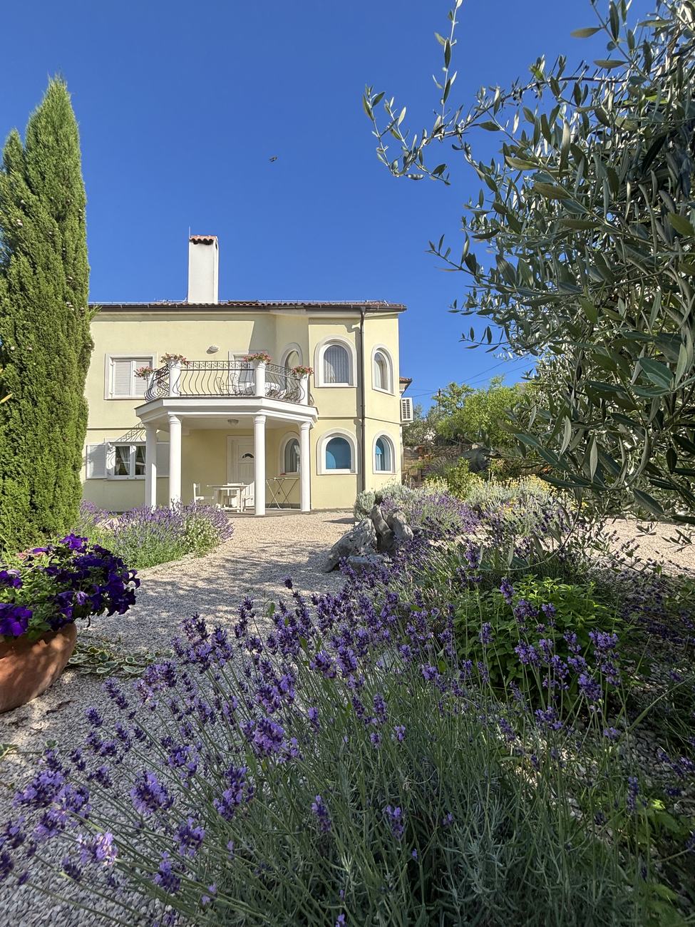 The villa seen across the lavender garden