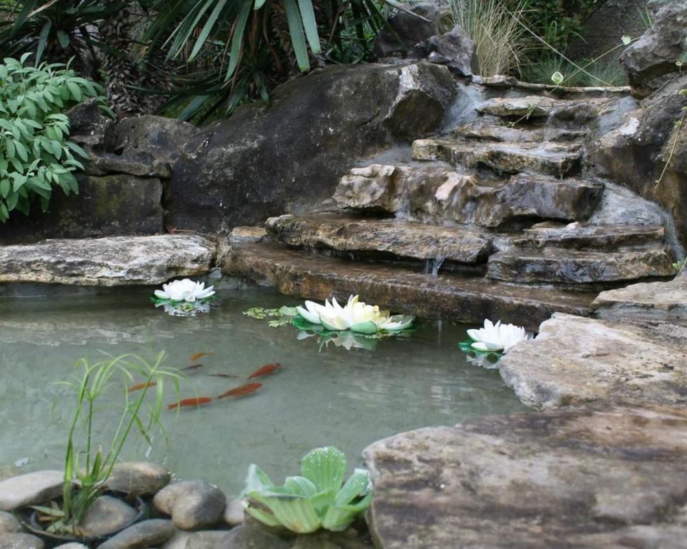 The garden pond with water lilies