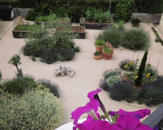 The garden seen from the balcony
